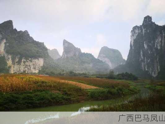 广西巴马凤山