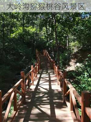 大岭沟猕猴桃谷风景区