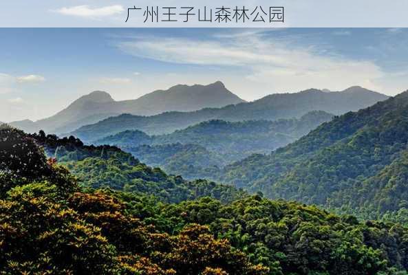 广州王子山森林公园