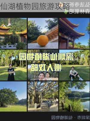 仙湖植物园旅游攻略