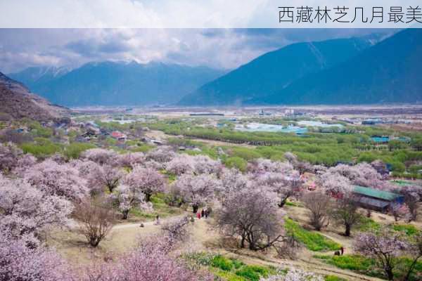 西藏林芝几月最美