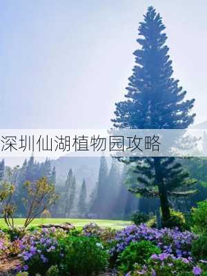 深圳仙湖植物园攻略