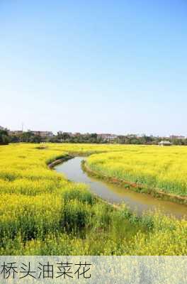 桥头油菜花