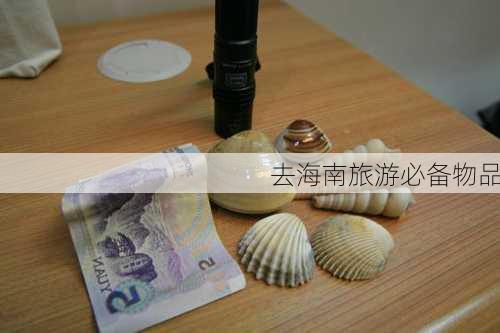 去海南旅游必备物品