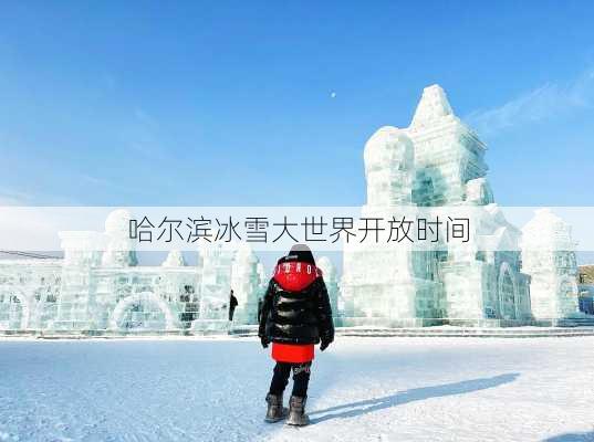 哈尔滨冰雪大世界开放时间