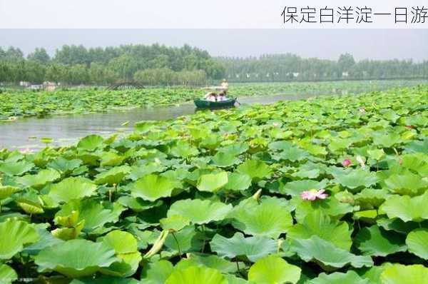 保定白洋淀一日游