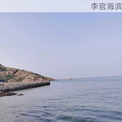 李官海滨