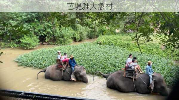 芭堤雅大象村