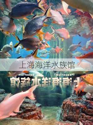 上海海洋水族馆