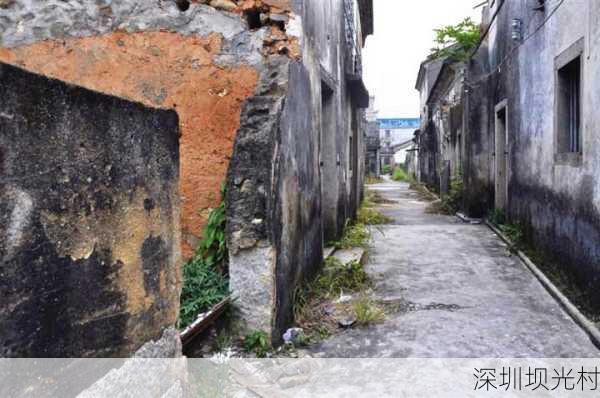 深圳坝光村