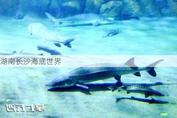 湖南长沙海底世界