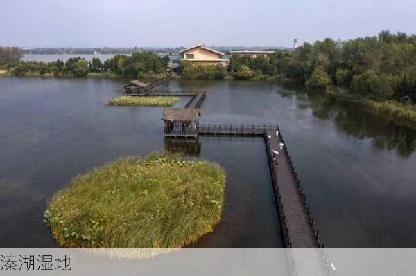 溱湖湿地