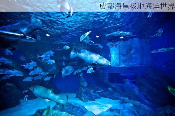 成都海昌极地海洋世界