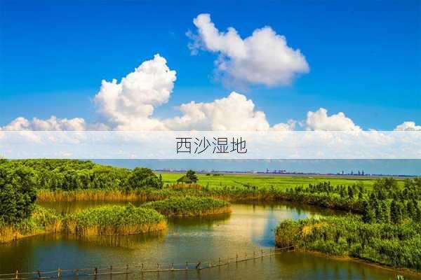 西沙湿地