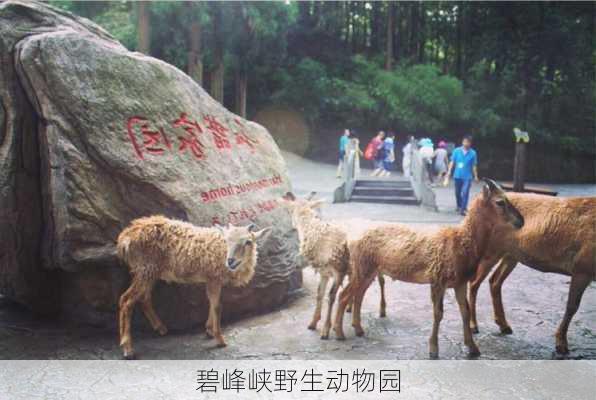 碧峰峡野生动物园