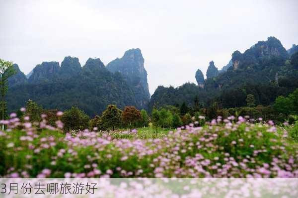 3月份去哪旅游好