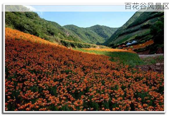 百花谷风景区