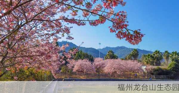 福州龙台山生态园