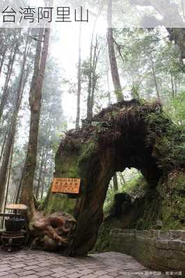 台湾阿里山