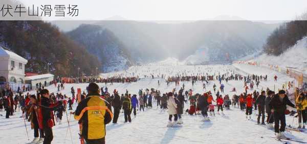 伏牛山滑雪场