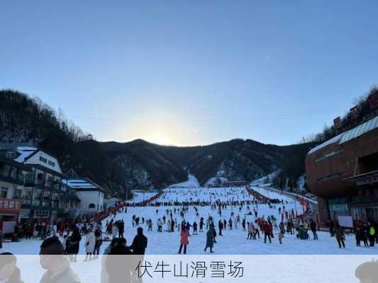 伏牛山滑雪场