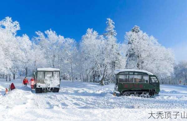 大秃顶子山