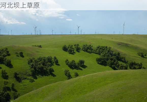 河北坝上草原