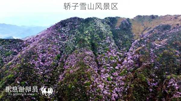 轿子雪山风景区