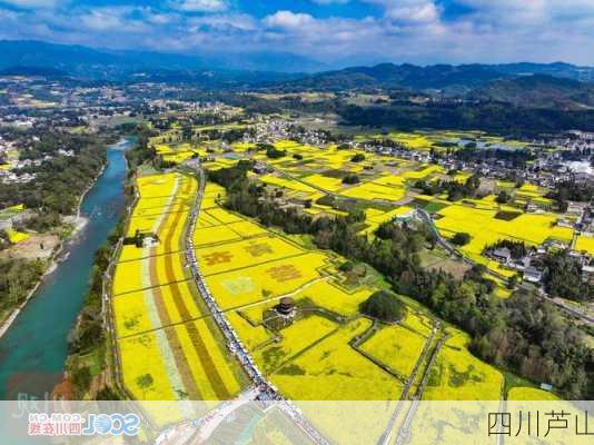 四川芦山