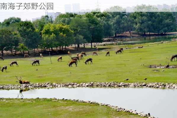 南海子郊野公园