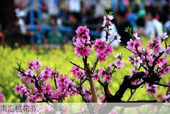 南汇桃花节