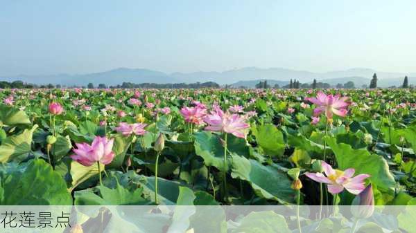 花莲景点