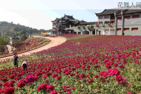 花舞人间