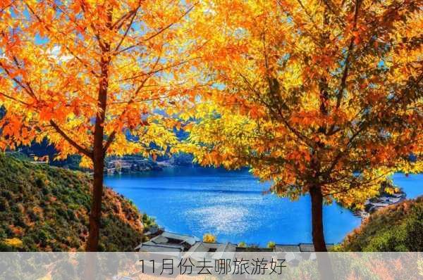 11月份去哪旅游好