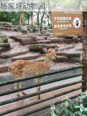 杨家坪动物园