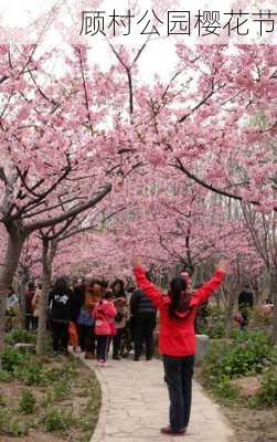 顾村公园樱花节