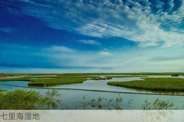 七里海湿地