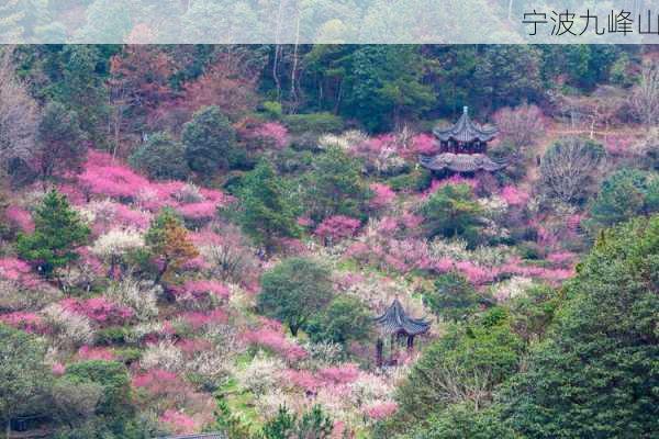 宁波九峰山