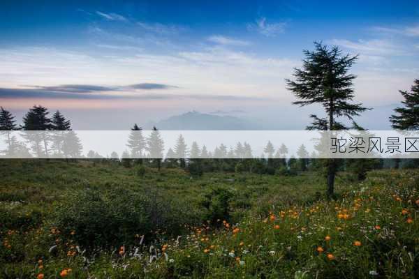 驼梁风景区