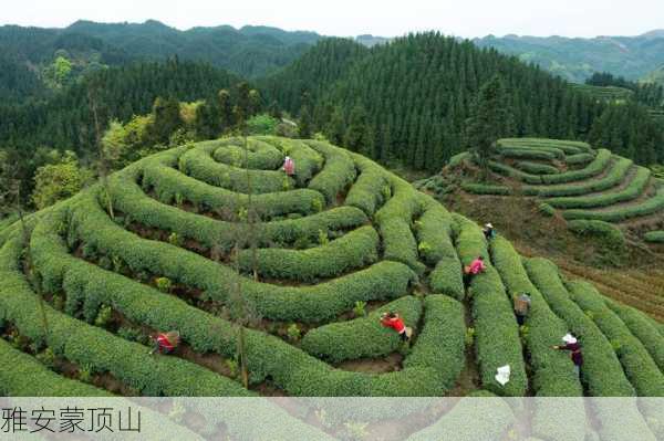 雅安蒙顶山