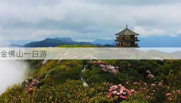 金佛山一日游