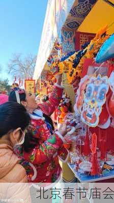 北京春节庙会