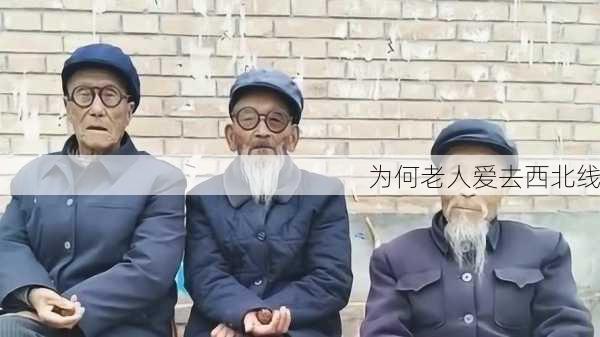 为何老人爱去西北线