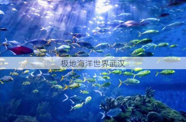 极地海洋世界武汉