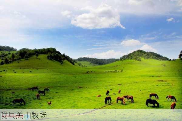 陇县关山牧场