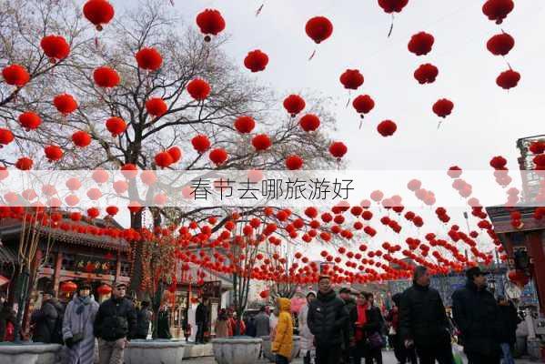 春节去哪旅游好