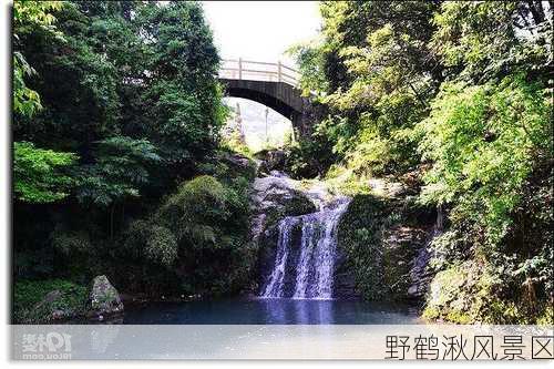 野鹤湫风景区