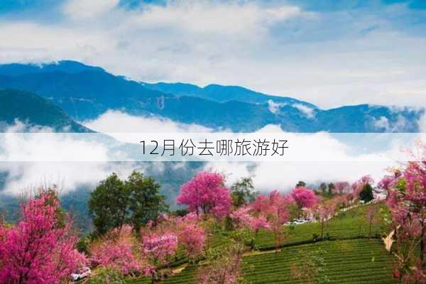 12月份去哪旅游好