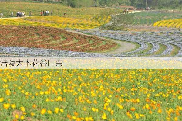 涪陵大木花谷门票