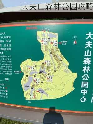 大夫山森林公园攻略